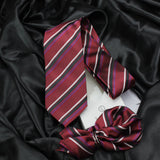 Neck Tie and Pocket Square Set for Men